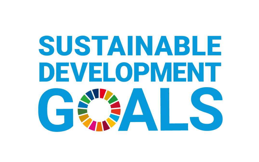 「エコで便利」は持続可能な開発目標（SDGs）を支援しています。